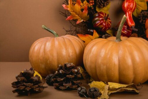 Fall 2020 Home Decor Essentials