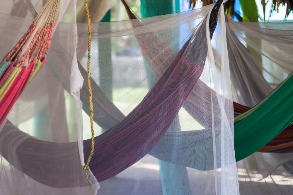 A mosquito net.