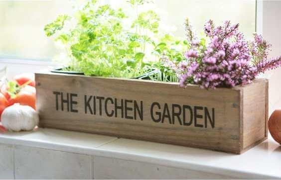 It’s Great to Fill Your Kitchen with Aromatic Plants