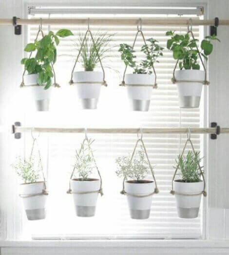 Pots with aromatic plants hanging by a window