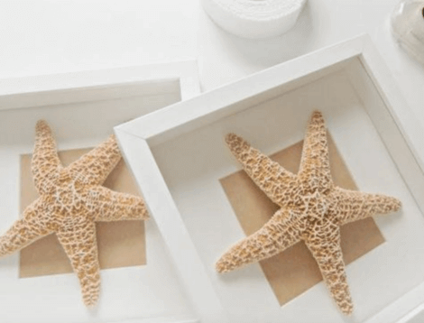 A starfish in a white frame to show a decor idea