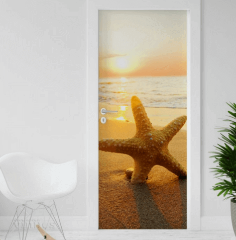 Photo of a framed starfish on the wall