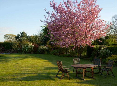 A backyard with a seating area.