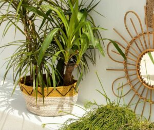 Woven Baskets: Handcrafts Haven't Gone Out of Style