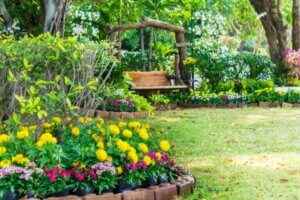 Try These Different Types of Yard Borders