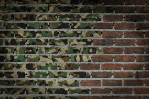 The Camouflage Print to Decorate Your Home