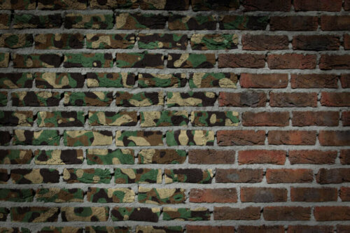 The Camouflage Print to Decorate Your Home