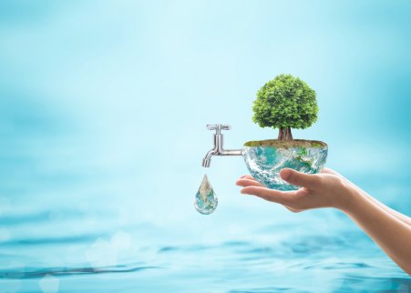 Tree in a little bowl of water