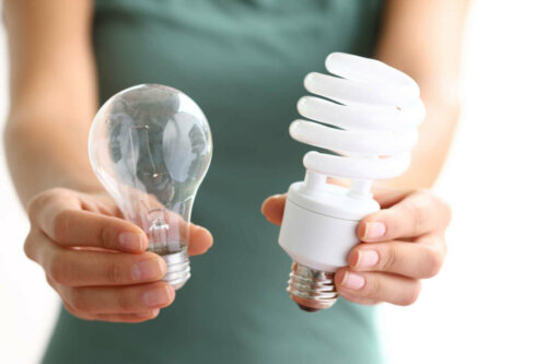 A person holding two types of bulbs that help reduce the light bill.