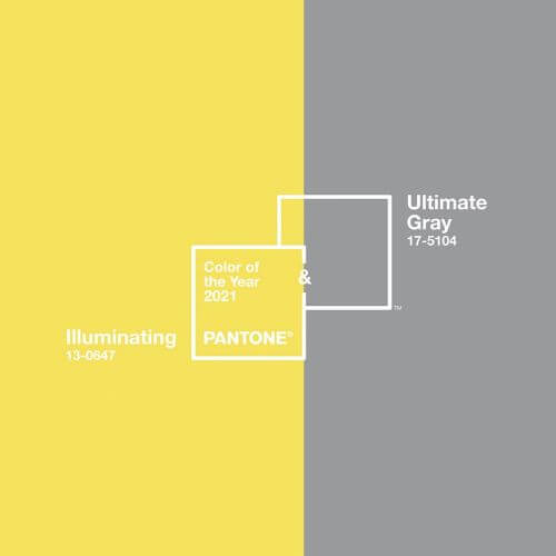 The Pantone Color of the Year 2021
