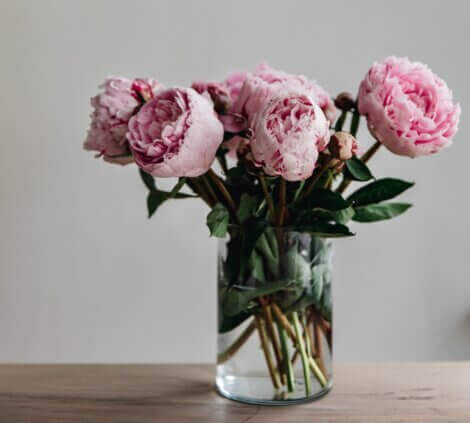 the meaning of flowers