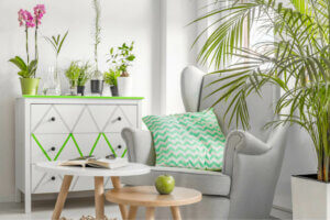 Tips for Decorating with Colorful Plants and Flowers