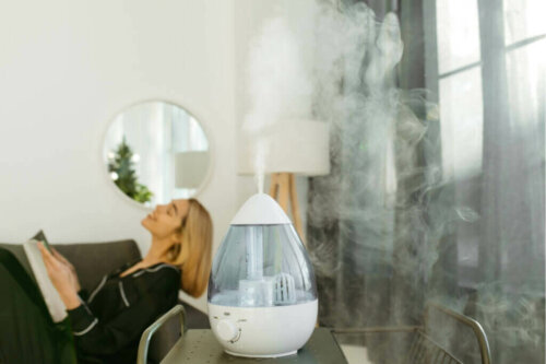 Solutions to Fight Indoor Dryness