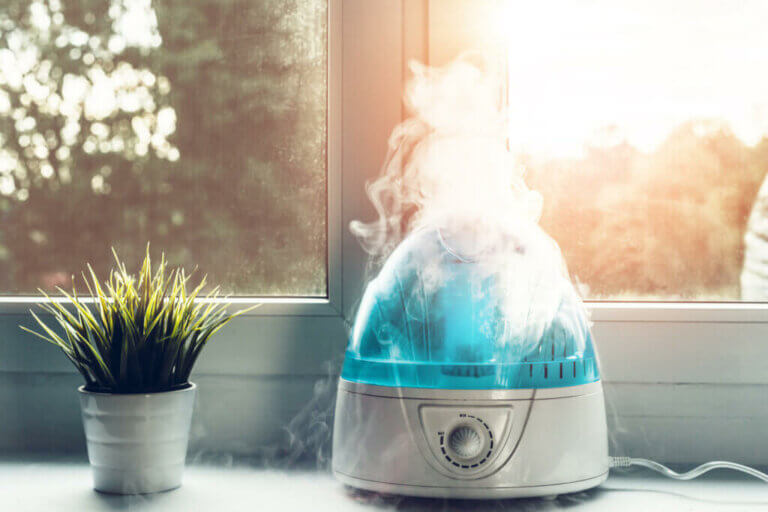 The Differences between Humidifiers and Diffusers