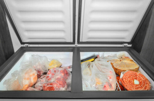 The Chest Freezer - Main Uses