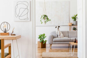 The Most Popular Types of Boho-Chic Rugs for Your Home
