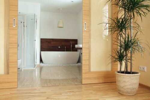 A plant in the bathroom.