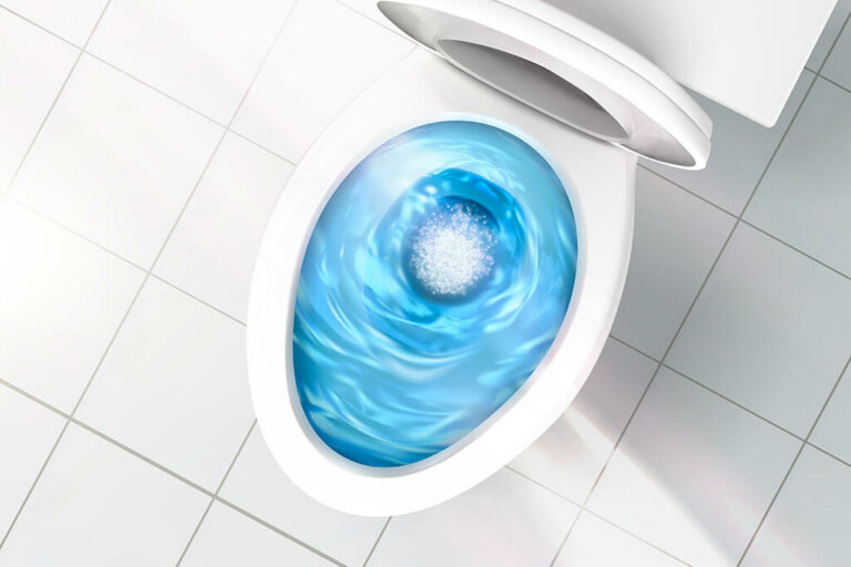 Discover The 6 Things You Shouldn't Flush Down The Toilet