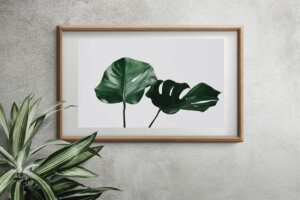 Pictures with Leaves: Make them Yourself!