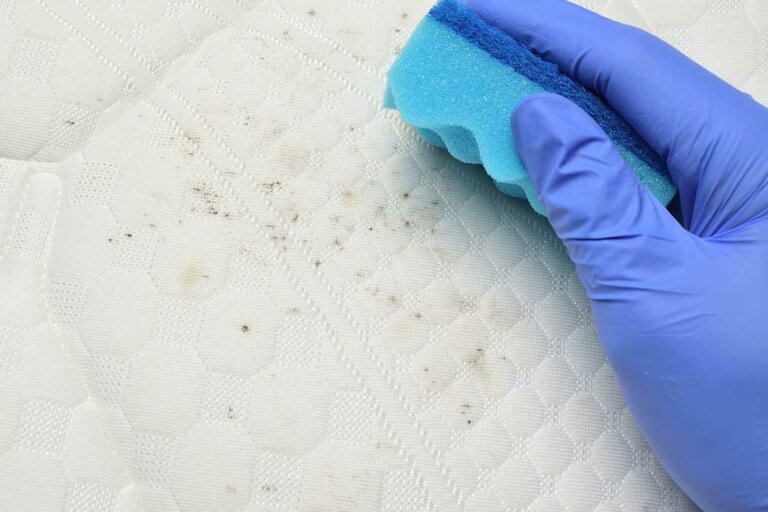 Do You Know How to Clean Your Mattress?