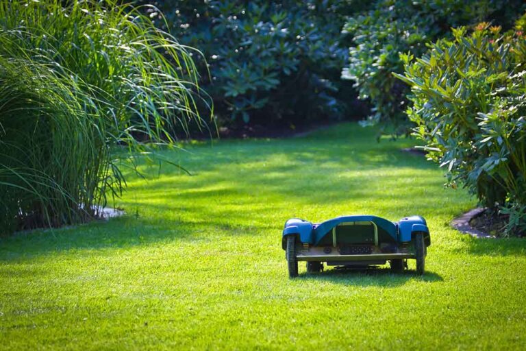 Robotic Lawnmower: Advantages and Disadvantages
