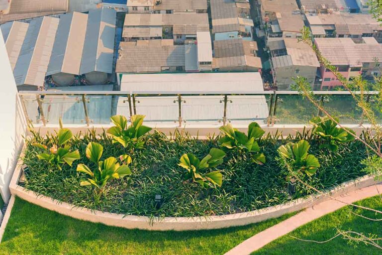 Create Your Own Urban Garden on Your Terrace