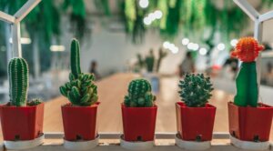 9 Decor Trends We Should Temporarily Forget
