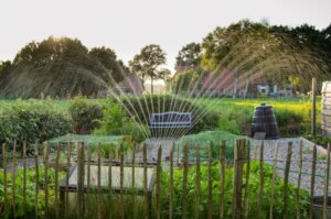 Fences and Trellises to Delimit Your Garden