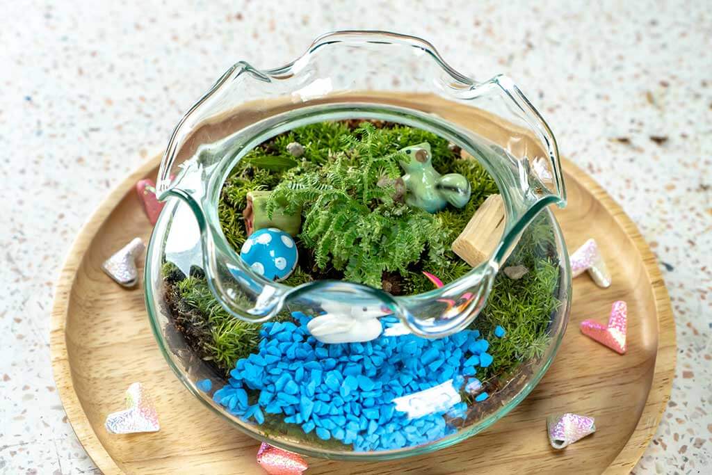 Create Your Own Water Garden at Home