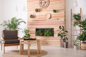 Trending Indoor Plants for 2022