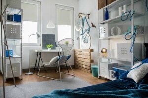 Multipurpose Rooms: How to Organize and Decorate Them