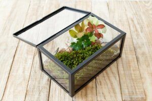Discover Propagators and Mini-Greenhouses