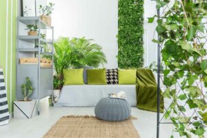 Vertical Gardens: Solve your Doubts