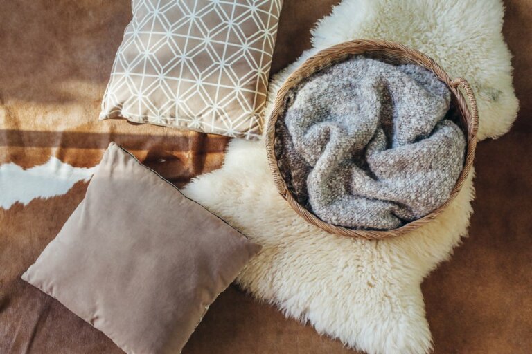 Synthetic Fur Textiles: Trendy Accessories