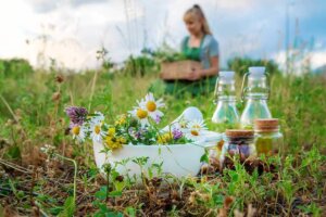 Medicinal Plants to Grow at Home