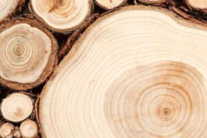 Using Tree Trunks and Branches to Decorate your Home