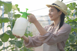 Homemade Insecticides for Your Plants