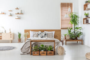 Bedroom Decor Ideas for a Young Couple
