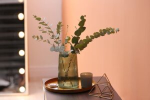 Decorate Your Home With Trays: Creative Ideas