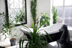Create a Natural Bathroom