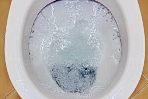 Your Toilet Tank: Learn How to Clean It
