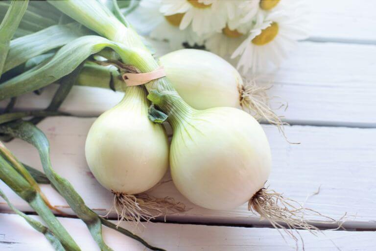 Your Complete Guide to Planting Onions