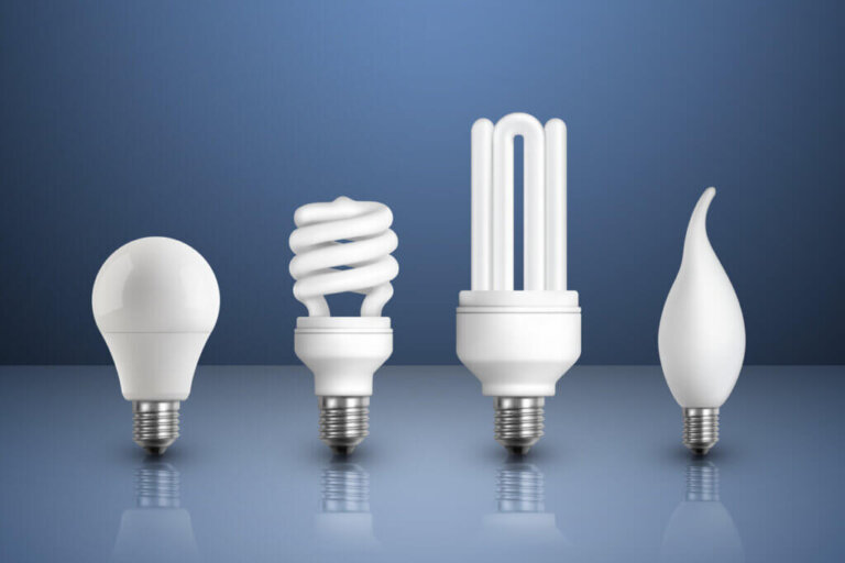 Types of Light Bulbs: How to Choose the Best Ones