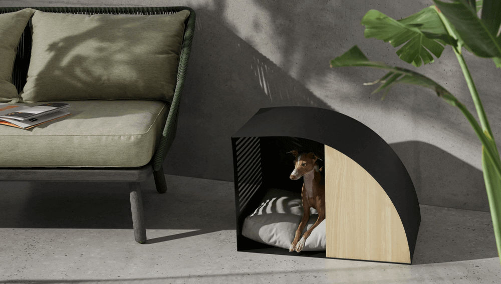 A dog in a Talo outdoor bed.