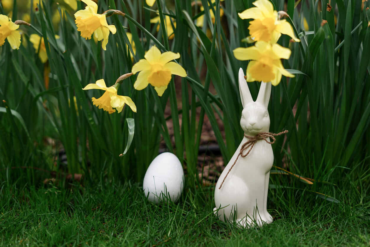 Bunny and easter egg lawn ornaments sitting by yellow daffodil plants.