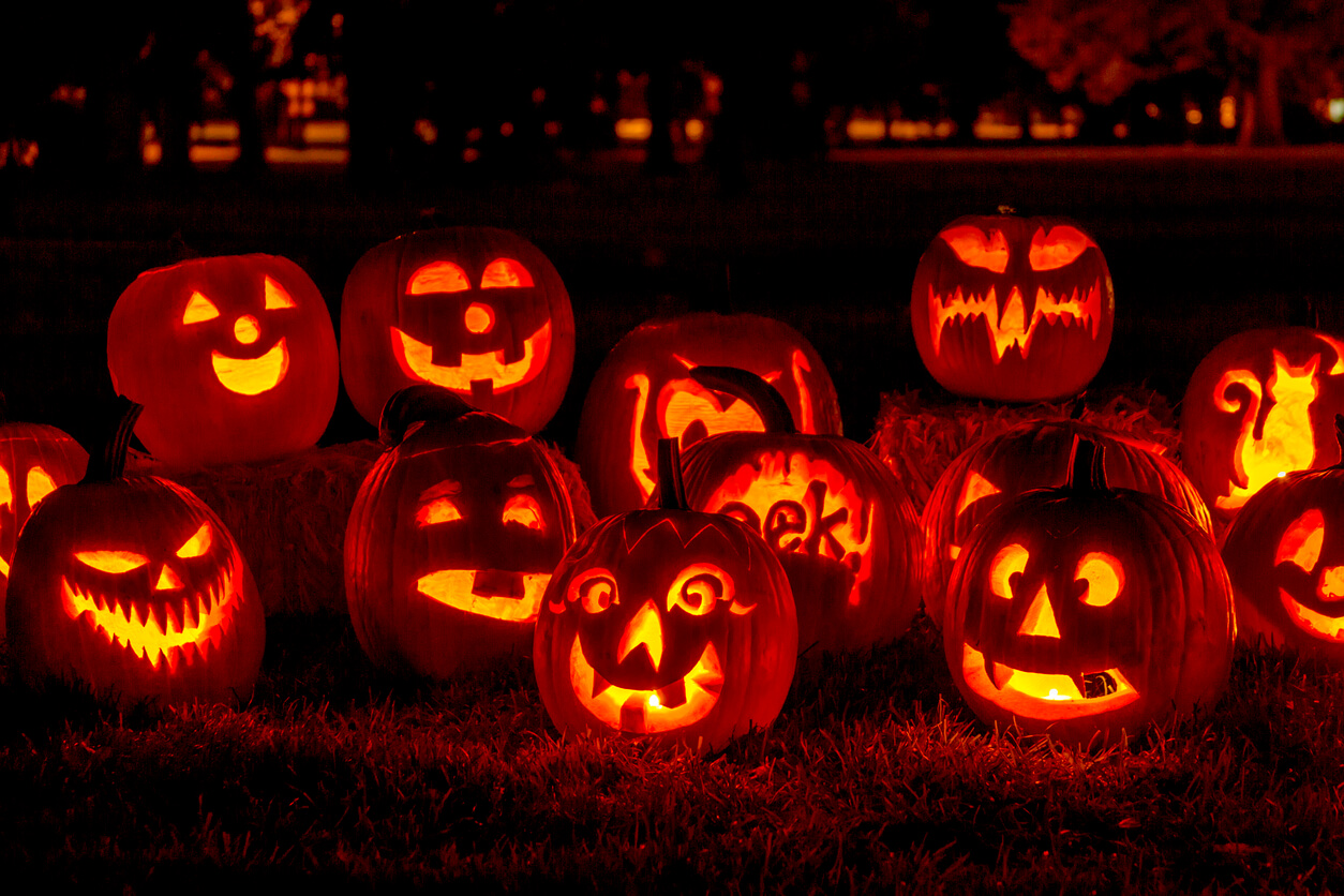 Carved pumpkins lit with their faces glowing in a yard. 